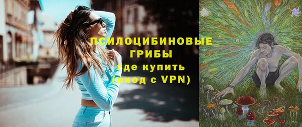 гидра Семикаракорск