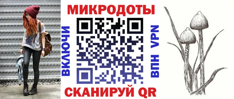 блэк спрут рабочий сайт  Муром  Псилоцибиновые грибы Psilocybe  наркота 
